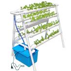  гидропонная культура комплект .... культивирование комплект клубника овощи культивирование комплект салон огород гидропонная культура комплект посадочная машина 72 дыра (72 дыра )