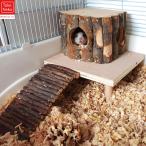  хомяк клетка. оборудование орнамент натуральный Apple дерево хомяк игрушка хомяк .. дом хомяк подножка дерево. дыра 3 позиций комплект мелкие животные игрушка клетка салон украшение 