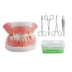  зуб . для тренировка комплект зуб модель оригинал большой удален возможность зуб . контейнер .. тренировка комплект зуб ... зуб ... нить пероральный .. тренировка нить имеется .. игла 