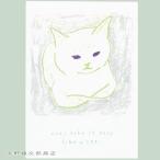 Shinozuka Tomoko открытка серый . коробка сиденье . кошка ..CAT [ letter pack почтовый сервис плюс возможно 40 шт * letter pack почтовый сервис свет возможно 20 шт * почтовая доставка возможно 10 шт до ]A