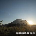  лес Blend [ кофе бобы 200g][ letter pack почтовый сервис плюс возможно 4 шт до ][ letter pack почтовый сервис свет возможно 2 шт до ]D