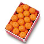 [ официальный ] Shinjuku Kouya подарок по случаю конца года подарок подарок фрукты внутри праздник . день рождения праздник ... Club мандарин A #12003