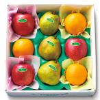 [ официальный ] Shinjuku Kouya подарок по случаю конца года подарок подарок фрукты внутри праздник . день рождения праздник .. winter фрукты A #53211