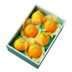 ショッピングデコポン 新宿高野 デコポン＆せとか6入 #29100