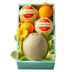  Shinjuku Kouya День отца дыня & citrus #93255