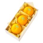  Shinjuku Kouya прекрасный сырой .3 входить #29100