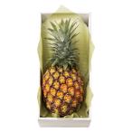  Shinjuku Kouya День отца Gold barrel #93378