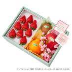  Shinjuku Kouya Hinamatsuri фрукты подарок ED #29100
