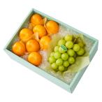 [ официальный ] Shinjuku Kouya подарок по случаю конца года подарок подарок фрукты внутри праздник . день рождения праздник .. осень становится мандарин &..D #29100