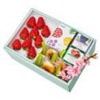  Shinjuku Kouya весна. праздник подарок EF #29100