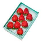  Shinjuku Kouya ..C Berry 9 #29100