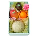  Shinjuku Kouya День матери фрукты подарок J #29100