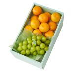 [ официальный ] Shinjuku Kouya подарок по случаю конца года подарок подарок фрукты внутри праздник . день рождения праздник .. осень становится мандарин &..H #29100