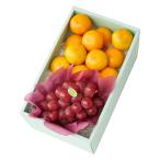 [ официальный ] Shinjuku Kouya подарок по случаю конца года подарок подарок фрукты внутри праздник . день рождения праздник .. осень становится мандарин &..I #29100