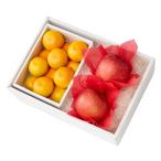  Shinjuku Kouya осень становится мандарин &..K #29100