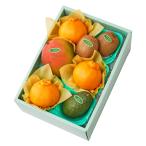 [ официальный ] Shinjuku Kouya подарок подарок фрукты внутри праздник . день рождения праздник .. большой . сезон &..F #29100