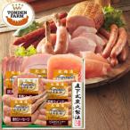 北海道トンデンファームギフト FG-50A