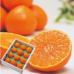  Ehime префектура производство .. какой (3kg).... желе. подобный новый еда чувство [ отгрузка предположительно :11/25 примерно ~]