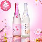 春季限定 日本酒 春ボトル 飲み比べセット 720ml 2本 お酒 春のお酒 純米吟醸酒 辛口 桜 お花見 プレゼント ギフト 新潟 高野酒造