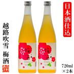 お歳暮 御歳暮 梅酒 日本酒仕込み 越路吹雪 720ml 2本 セット ギフト プレゼント 日本酒梅酒 日本酒ベース お酒 新潟 高野酒造