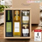 BOX ввод приправа подарок комплект .. плоды EXV* чеснок оливковый масло 120ml×2 &o Lee Brief соль ( трава Mix )60g &книга@ ястреб красный острый перец оливковый масло 60g