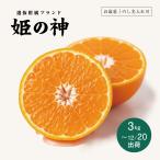 ショッピング果物 姫の神 みかん お歳暮 ギフト 贈答用 フルーツ 果物 くだもの 化粧箱 25-35玉 3kg のし名入れ可 御歳暮 柑橘 ミカン 冬ギフト プレゼント