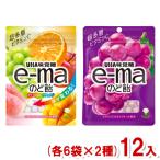 味覚糖 e-maのど飴 袋 (6×2)12入 (のど