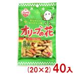 .. рис .33g оливковый. цветок (20×2)40 входить (... рис . соль тест сладости закуска подарок массовая закупка ) (2 кейс распродажа )(Y10) Honshu часть бесплатная доставка 