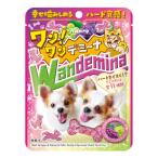 ショッピンググミ カンロ ワンワンデミーナグミ 60g×6入 (あすつく 優良配送) (数量限定 ハードグミ グミ 犬 お菓子 可愛い おやつ 景品) (最短賞味期限2026.6月末) (レ)*