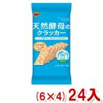 brubon48 листов натуральный дрожжи. cracker (6×4)24 входить (Y10)( кейс распродажа ) Honshu часть бесплатная доставка 