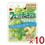 ブルボン フェットチーネグミ シャインマスカットホワイトソーダ味 47g×10入 (ポイント消化) (CP) (賞味期限2026.5月末) メール便全国送料無料