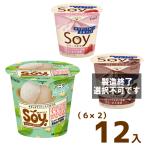 クラシエ SOY (6×2)12入 (ソイ 豆乳 アイス アイスクリーム 熨斗対応 母の日 父の日 お中元 お歳暮) (冷凍 SOY) 2つ選んで、本州一部冷凍送料無料