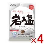 扇雀飴本舗 岩塩キャンディ 80g×4袋セット (最短当日出荷) (ポイント消化) (np-3) (賞味期限2027.3月末) メール便全国送料無料 (レ)
