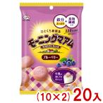 ショッピングブルーベリー 不二家 50g モーニングマアム ブルーベリー (10×2)20入 (朝食 小袋 クッキー お菓子 景品 まとめ買い) (Y80) 本州一部送料無料
