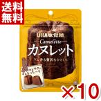 味覚糖 カヌレット 40g×10入 (洋菓子 カヌレ) (ポイント消化)(CP)(賞味期限2023.5月末) メール便全国送料無料