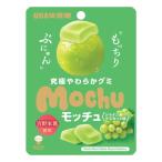 味覚糖 モッチュ シャインマスカット味 45g×10入 (ぶどう グミ やわらかい 本葛 お菓子 大量販売 おやつ 景品 ばらまき まとめ買い)