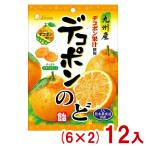 ショッピングデコポン ライオン菓子 77g デコポンのど飴 (6×2)12入 (のどあめ キャンディ 飴 お菓子 景品 まとめ買い) (Y80) 本州一部送料無料