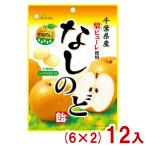 ショッピング梨 ライオン菓子 80g なしのど飴 (6×2)12入 (梨 ナシ のどあめ キャンディ 飴 お菓子 景品 まとめ買い) (Y80) 本州一部送料無料