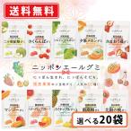 全農  ニッポンエール 