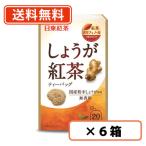 日東紅茶 しょうが紅茶  20袋入り×6箱 送料無料(一部地域を除く)