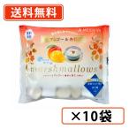  Meiji магазин лето . приятный манго &.. мармешлоу 70g×10 пакет время ограничено манго бесплатная доставка ( часть регион за исключением )