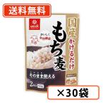 ショッピングもち麦 はくばく 国産かけるだけもち麦 50g×30袋 もち麦　送料無料(一部地域を除く)