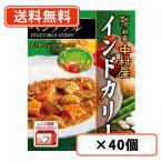 新宿中村屋 インドカリー ベジタブル 190g×40個 カレー レトルトカレー curry 野菜 スパイス 電子レンジ調理可　送料無料(一部地域を除く)