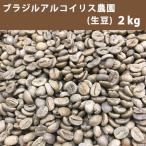 Yahoo! Yahoo!ショッピング(ヤフー ショッピング)コーヒー 生豆 ブラジル ブルボンアマレロ アルコイリス農園 2ｋｇ　送料無料（一部地域を除く）