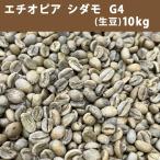 コーヒー 生豆 エチオピア モカ シダモ G4 10kg(5kg×2) 送料無料(一部地域を除く)