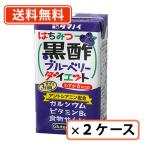 ショッピングブルーベリー タマノイ はちみつ黒酢ブルーベリーダイエット 【ブルーベリー】 125ml×48本(24本入×2ケース) 【同梱不可】　送料無料(一部地域を除く)