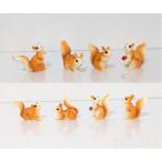  белка сосна .... белка животное фигурка террариум фигурка гидропонная культура миниатюра мини фигурка Event коробка двор kokelium Moss мох симпатичный 