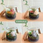 ショッピングテラリウム コケリウムキット 【メリークリスマス】 テラリウム初心者 手作り キット 合わせて苔テラリウム お誕生日 プレゼント ワークショップ 山ゴケ