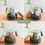 コケリウムキット 【動物と石】 テラリウム初心者 手作り キット 合わせて苔テラリウム お誕生日 プレゼント ワークショップ 山ゴケ モス 山ゴケ