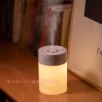 加湿器 スチーム式 ミニ加湿器 おしゃれ 静音 LEDライト 細微ミスト 自動停止 快適 オフィス クローバー 寝室 600ML 2023最新版